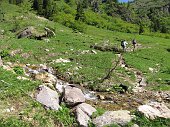 Salita al Laghetto di Pietra Quadra (2100 m. circa ) e al nuovo Rifugio Tre Pizzi-Pietra Quadra (2012 m) - FOTOGALLERY